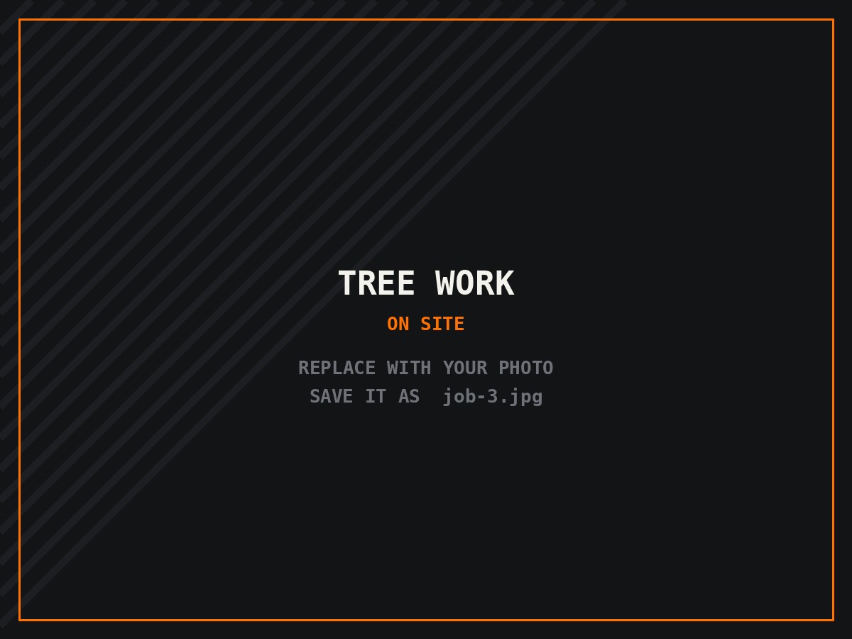 Tree work — Removal